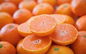 ふるさと納税を活用し業績は右肩上がり