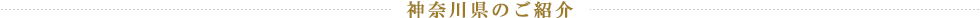 神奈川県のご紹介