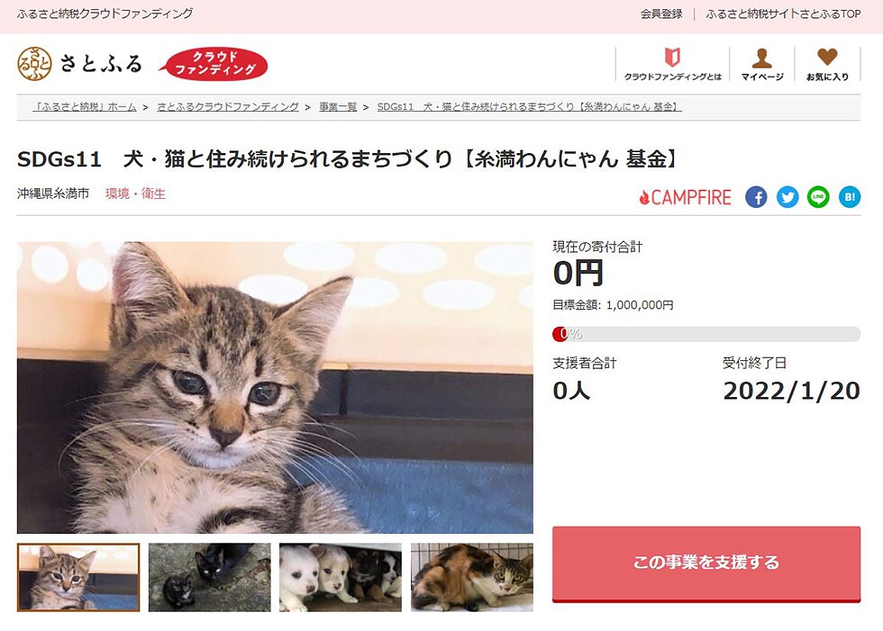 SDGs11 犬・猫と住み続けられるまちづくり【糸満わんにゃん 基金】 イメージ