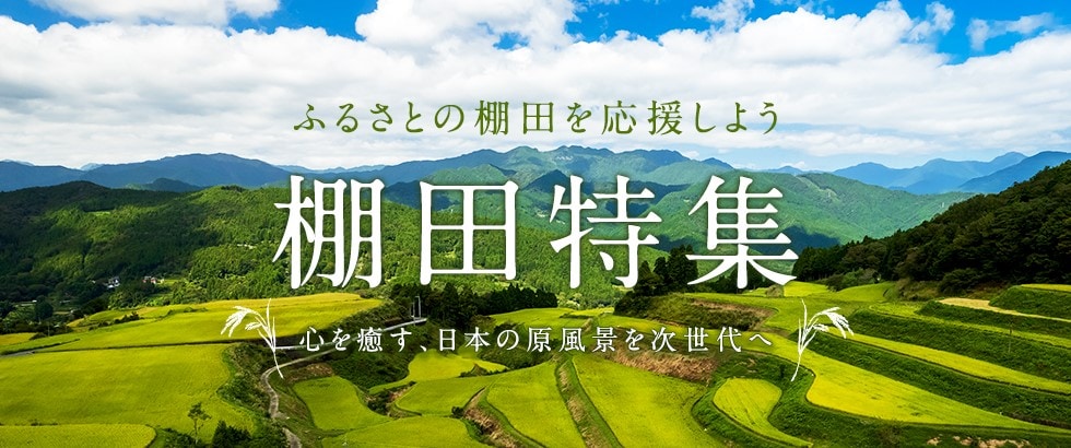 ふるさとの棚田を応援しよう 棚田特集 イメージ