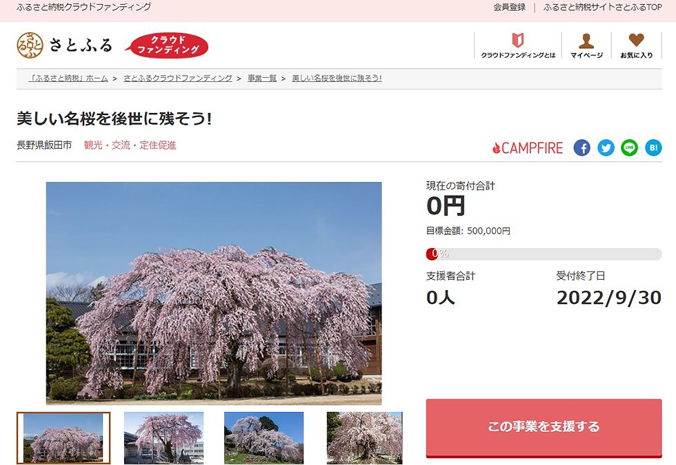 美しい名桜を後世に残そう! イメージ