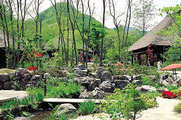 栃木県日光市 平家の里 イメージ