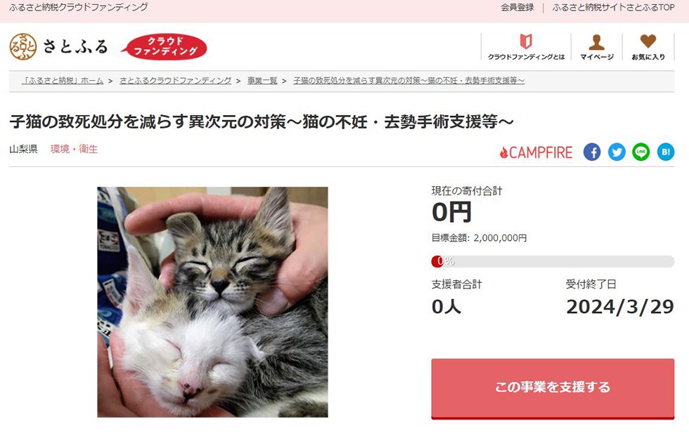 子猫の致死処分を減らす異次元の対策～猫の不妊・去勢手術支援等～ イメージ