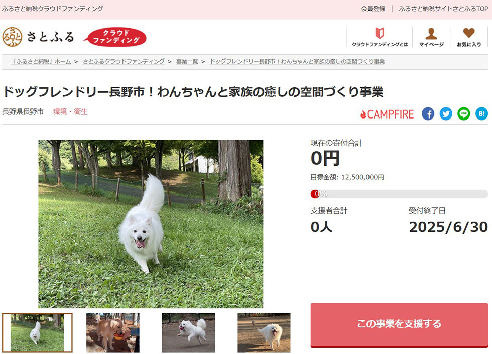 ドッグフレンドリー長野市!わんちゃんと家族の癒しの空間づくり事業 イメージ