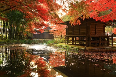 岩手県