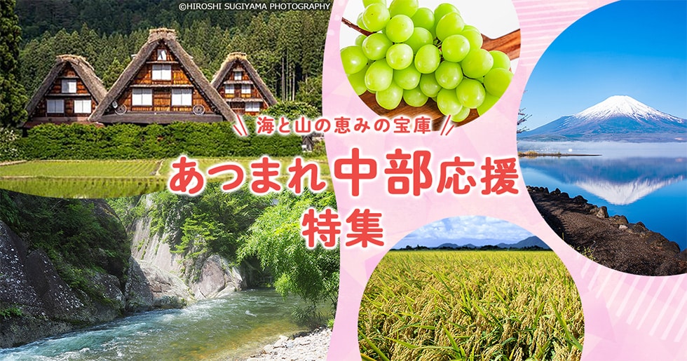 あつまれ中部応援特集 イメージ