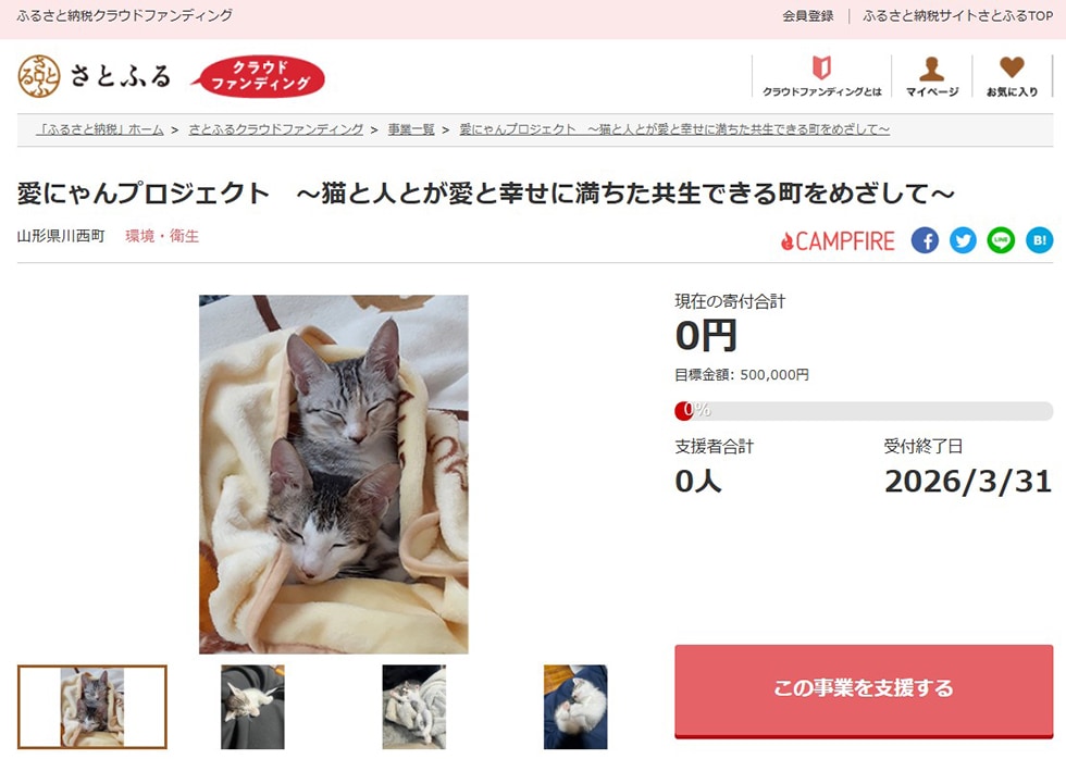 愛にゃんプロジェクト　～猫と人とが愛と幸せに満ちた共生できる町をめざして～ イメージ