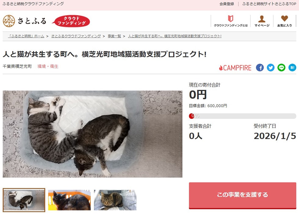 人と猫が共生する町へ。横芝光町地域猫活動支援プロジェクト! イメージ