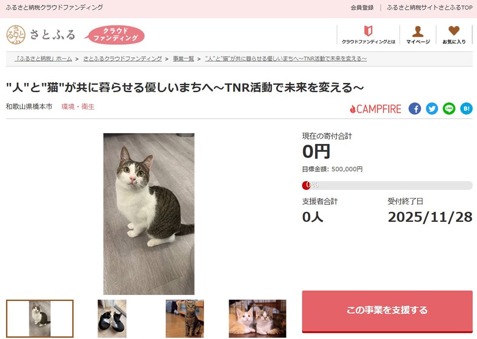"人"と"猫"が共に暮らせる優しいまちへ~TNR活動で未来を変える~ イメージ