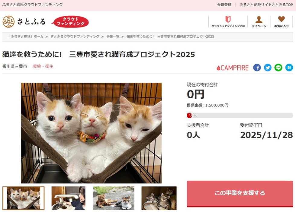猫達を救うために! 三豊市愛され猫育成プロジェクト2025 イメージ