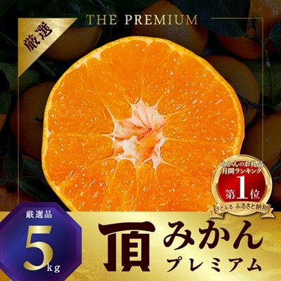 三代目の頂みかんTHEプレミアム【小玉サイズ】5kg【C31-19】 イメージ