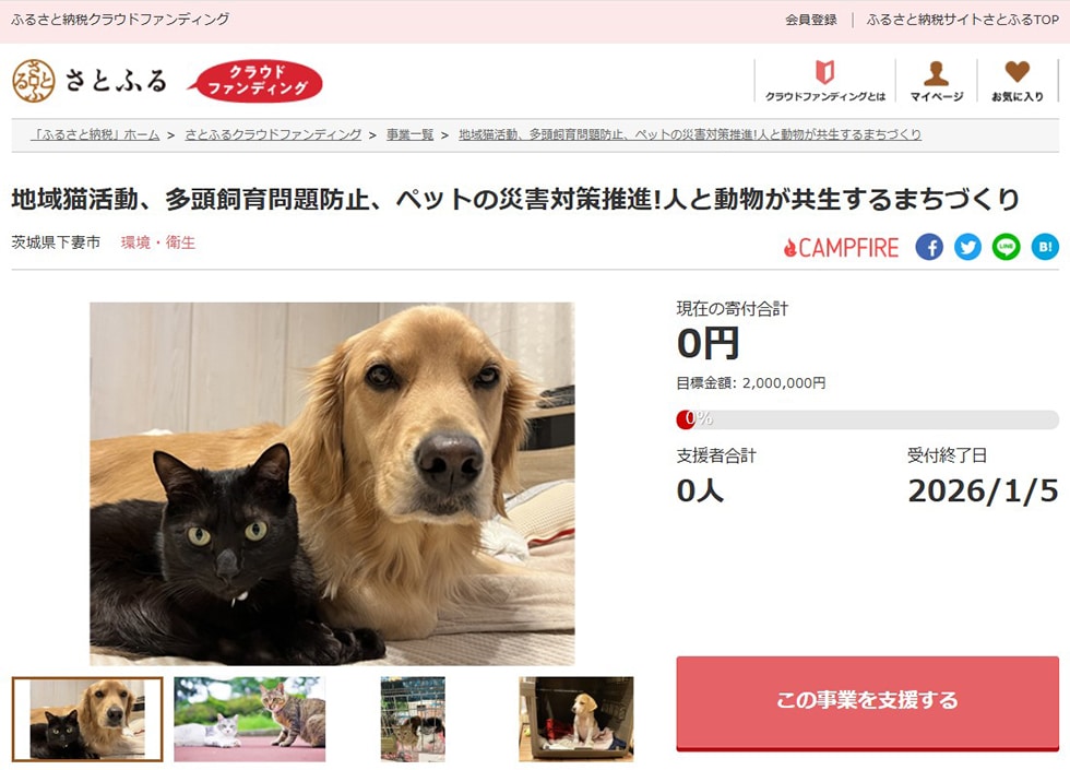 地域猫活動、多頭飼育問題防止、ペットの災害対策推進!人と動物が共生するまちづくり イメージ