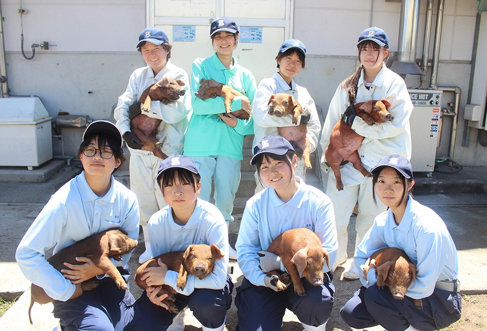 熊本市の高校生開発のブランド豚「くまもとの赤ぶた」がさとふる限定でふるさと納税に初登場！ イメージ