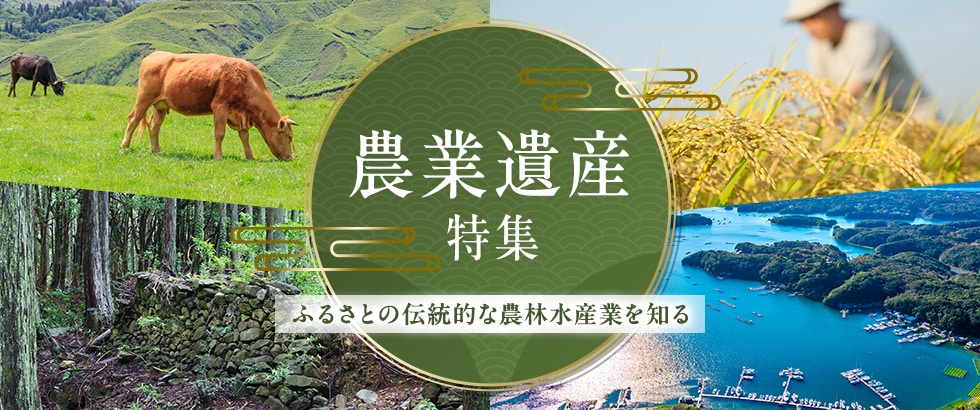 ふるさとの伝統的な農林水産業を知る 農業遺産特集 イメージ