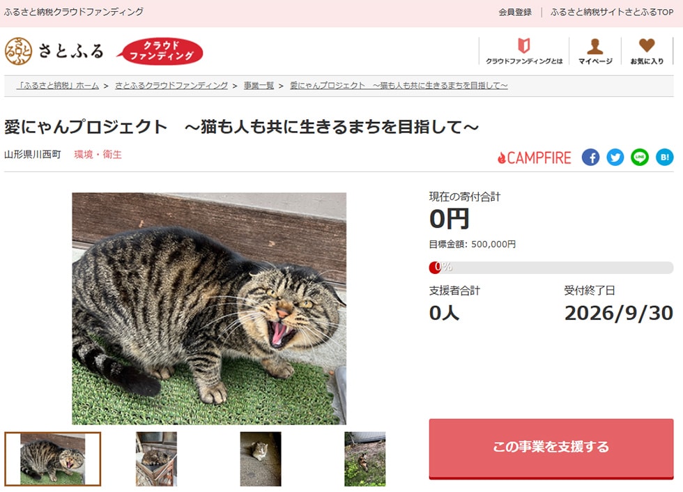 愛にゃんプロジェクト ~猫も人も共に生きるまちを目指して~ イメージ
