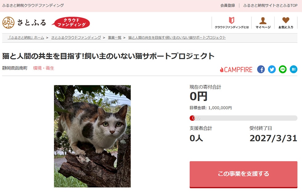 猫と人間の共生を目指す!飼い主のいない猫サポートプロジェクト イメージ