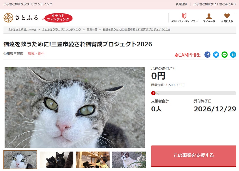 猫達を救うために!三豊市愛され猫育成プロジェクト2026 イメージ