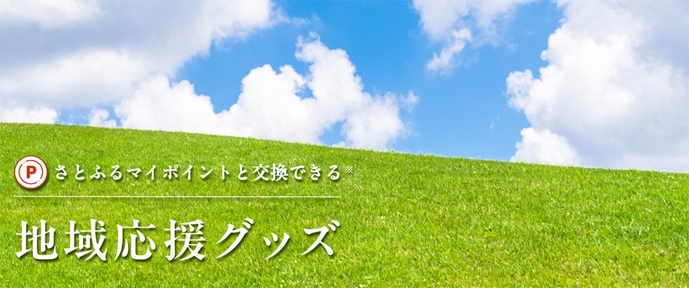 さとふるマイポイントと交換できる地域応援グッズ イメージ