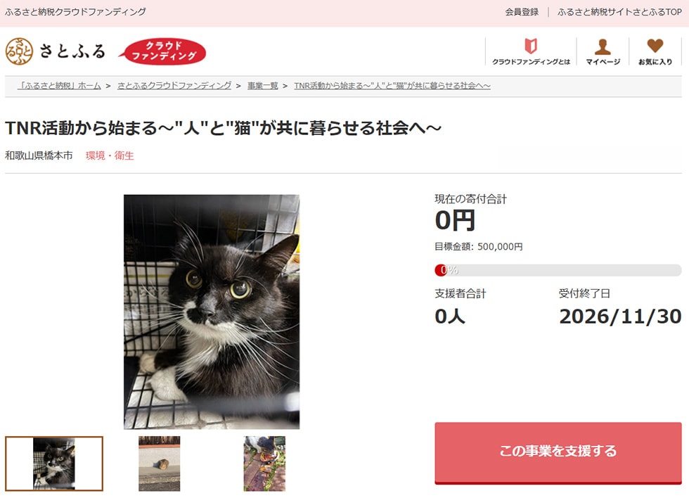 TNR活動から始まる~人と猫が共に暮らせる社会へ~ イメージ