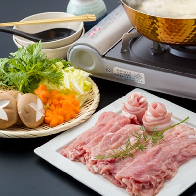 諫美豚 かんびとん しゃぶしゃぶ焼肉セット