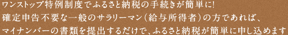 マイナンバーの書類を提出するだけで、ふるさと納税が簡単に申し込めます