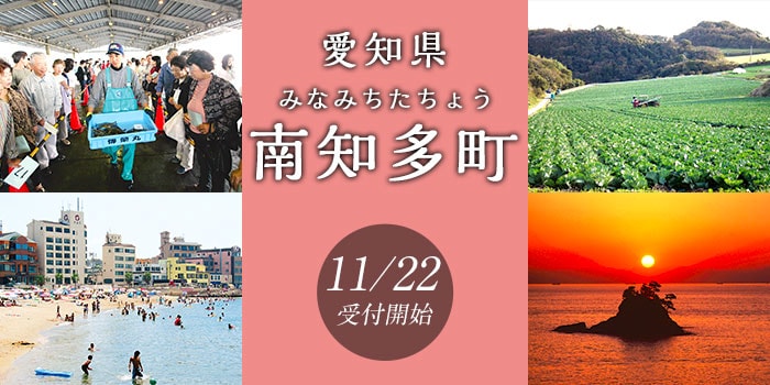 愛知県南知多町