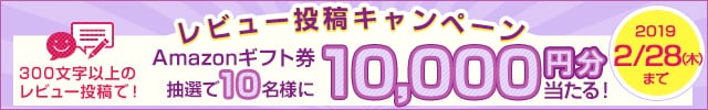 「お礼品レビュー」を書いて【Amazonギフト券 1万円分】が当たる！