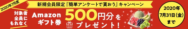 7月中に新規会員登録をされた方限定 新規会員登録キャンペーン 1回の寄付で1万円以上寄付をしたうえで簡単なアンケートにお答えいただいた方全員にAmazonギフト券500円分をプレゼント