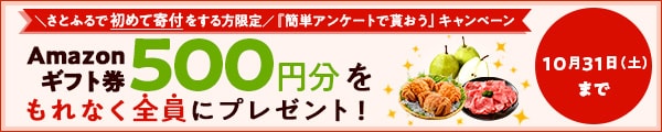 10月の新規会員様＆さとふる会員様で今まで寄付を頂いた事がない方限定 1回の寄付で1万円以上寄付をしたうえで簡単なアンケート(最短1分)にお答えいただいた方全員にAmazonギフト券500円分をプレゼント