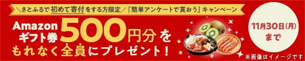 2020年10月31日時点で、さとふるおよびさとふるアプリで一度も寄付の経験がない方限定 1回の寄付で1万円以上寄付をしたうえで簡単なアンケート(最短1分)にお答えいただいた方全員にAmazonギフト券500円分をプレゼント
