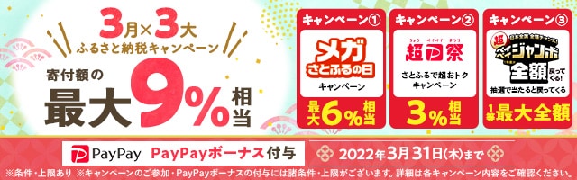 3月×3大ふるさと納税キャンペーン 条件を満たすと、寄付金額に対して合計で最大《9%相当》のPayPayボーナスがもらえるキャンペーンを開催中！