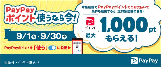 ＼こちらも開催中！／条件を達成すると最大1,000ptのPayPayポイントがもらえる！「PayPayポイント使っておトクキャンペーン」
