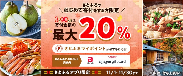 ＼さとふるではじめて寄付をする方はこちらも注目♪／「さとふるの日」にさとふるアプリで寄付をすると、合計で最大《20％》のさとふるマイポイントがもらえるキャンペーン開催中
