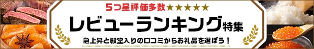 レビューランキング特集