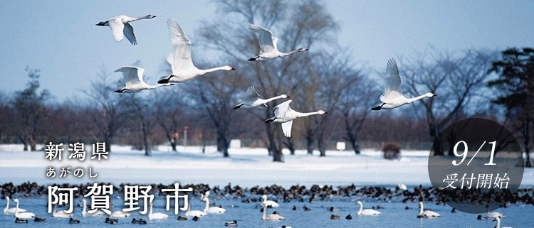 新潟県阿賀野市