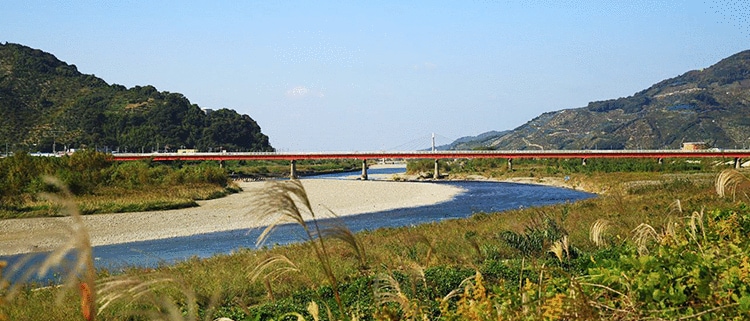 和歌山県有田市