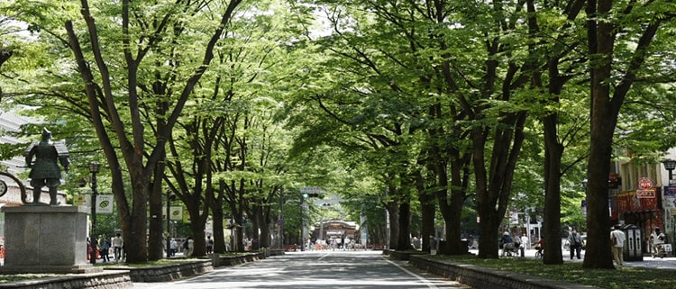東京都府中市