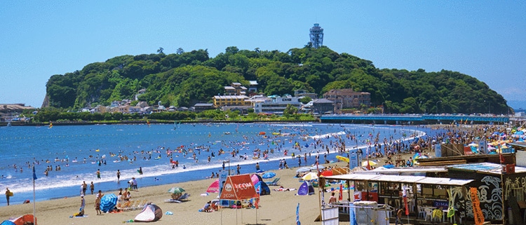 神奈川県藤沢市
