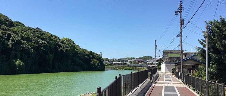 大阪府羽曳野市