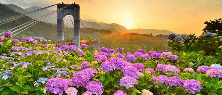 神奈川県秦野市