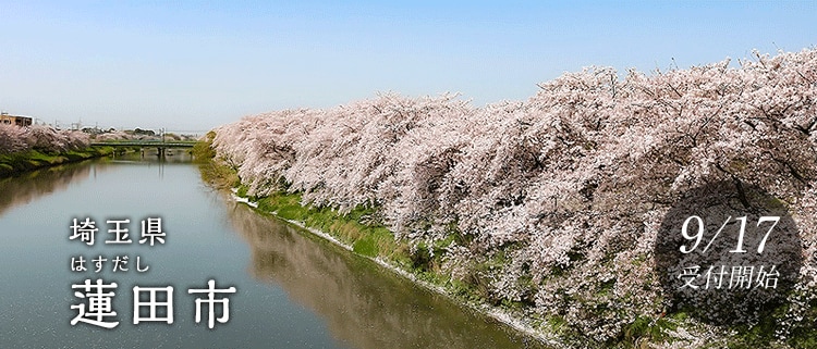 埼玉県蓮田市