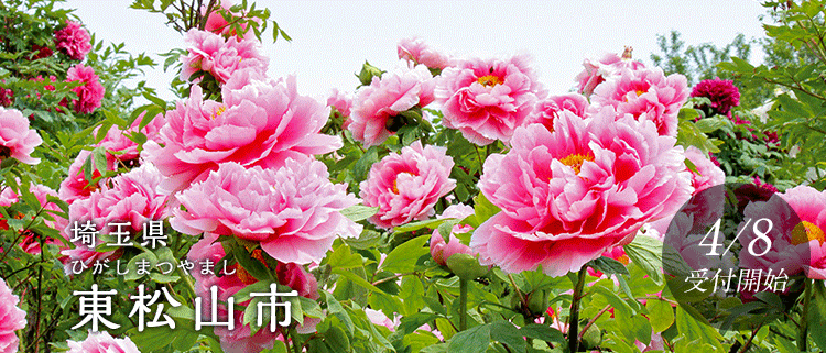 埼玉県東松山市