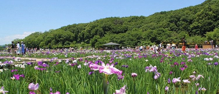 東京都東村山市