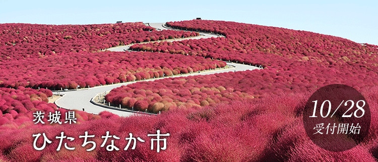 茨城県ひたちなか市