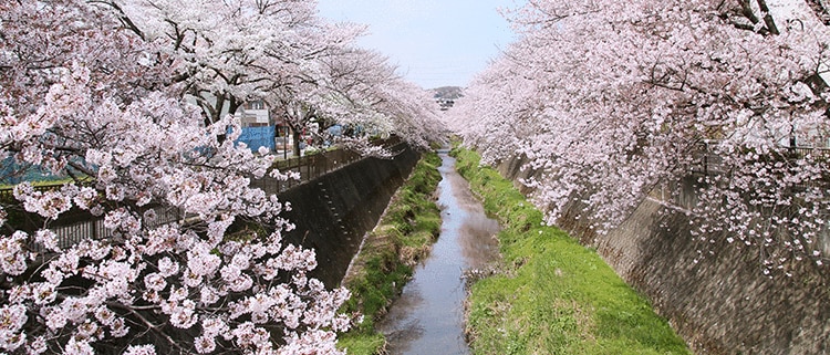 東京都稲城市