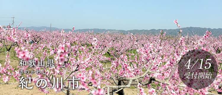 和歌山県紀の川市