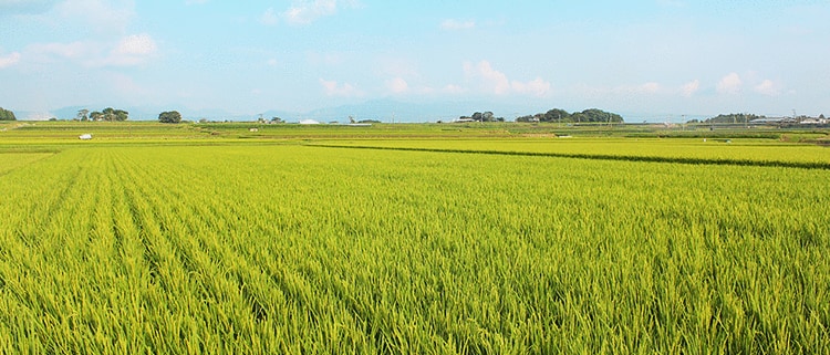 熊本県合志市