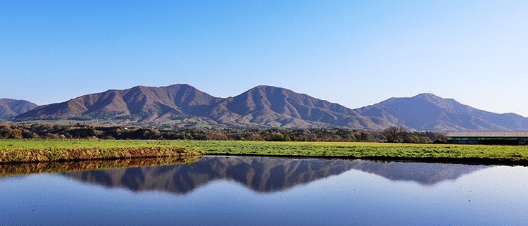 岡山県真庭市