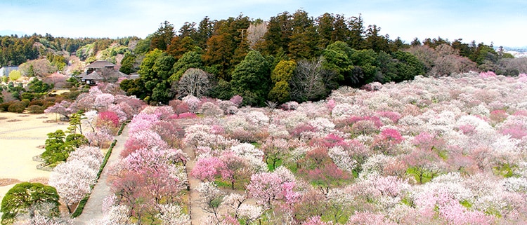 茨城県水戸市