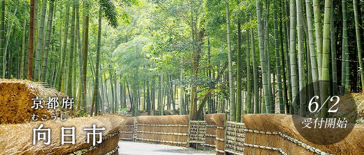 京都府向日市